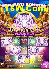 Casino VIP 204Win